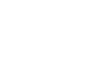 Bangla IT