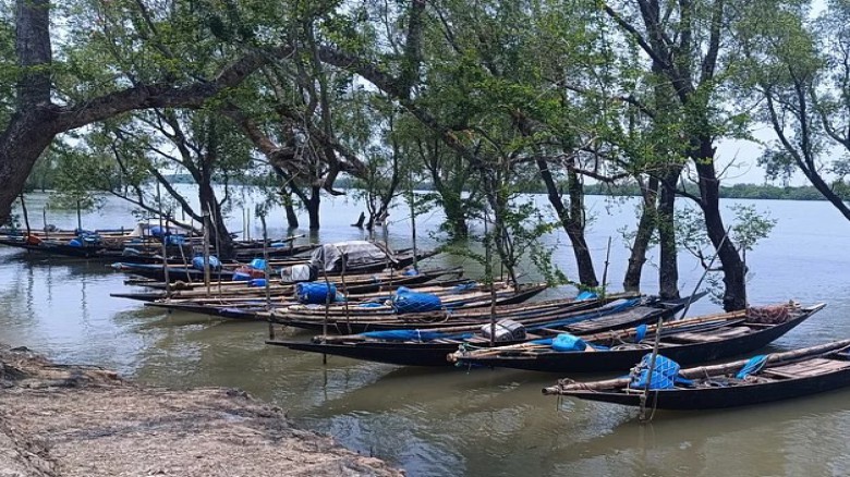 সুন্দরবনে প্রবেশের অনুমতিপত্র নবায়নে রাজস্বের চেয়ে...